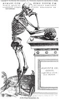 Early medical illustration from Vesalius' book
