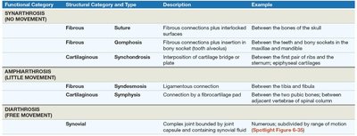 Structure of a synovial joint
