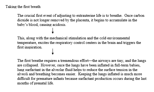 Taking the first breath and neonatal adjustments