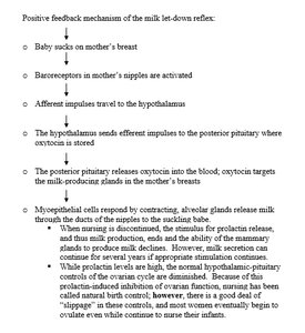 Positive feedback mechanism of milk let-down reflex