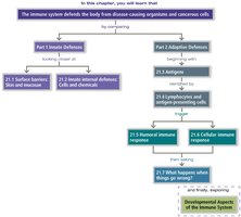 Anatomy & Physiology Immune System Study Guide for Exams | Notes