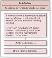Variables that influence stroke volume: afterload