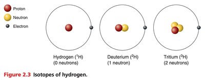Isotopes of hydrogen
