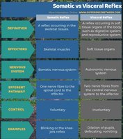 Comparison table of somatic vs visceral reflexes