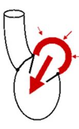 Phases of ventricular diastole and pressure-volume relationship