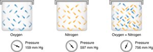 Partial pressures of oxygen and nitrogen