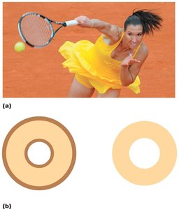 Exercise and bone remodeling