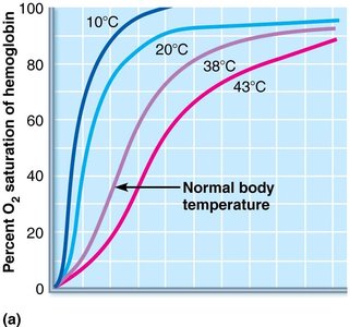 Effect of temperature on oxygen-hemoglobin dissociation curve
