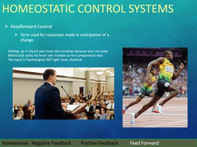 Examples of feedforward control: public speaking and sprinting