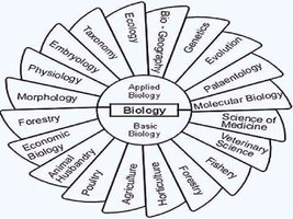 Branches of biology