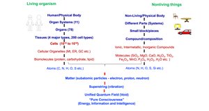 Comparison of living and non-living structural organization