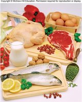 Variety of foods providing essential nutrients