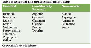Table of essential and nonessential amino acids