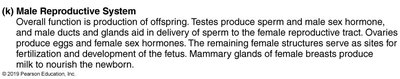 Female Reproductive System