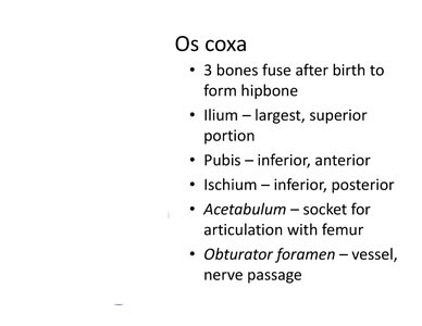 Os coxa with fused bones