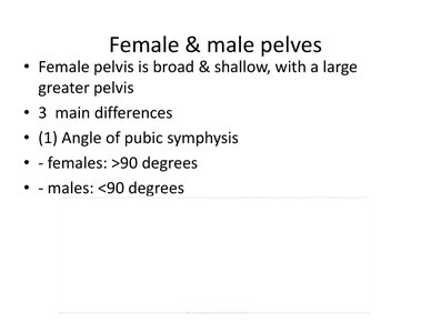 Comparison of female and male pelves