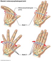 Biaxial metacarpophalangeal joint