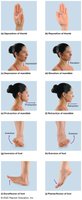 Special movements: opposition, reposition, depression, elevation