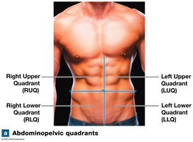 Abdominopelvic quadrants