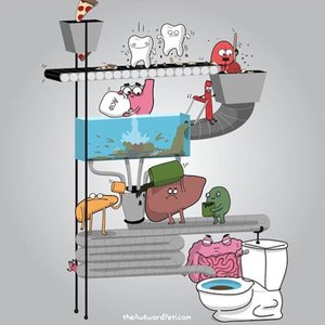 Cartoon of digestive system as a food processing assembly line