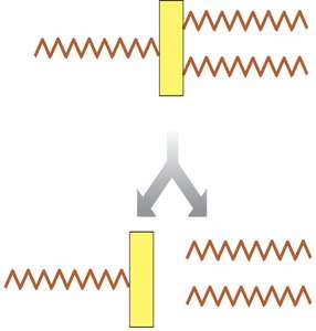 Diagram of triglyceride digestion
