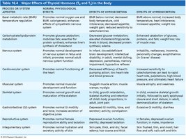 Major effects of thyroid hormone in the body