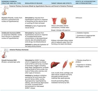 Summary table of pituitary hormones