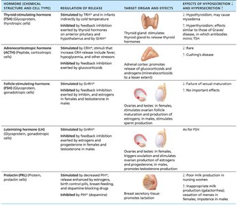 Summary table of pituitary hormones (continued)