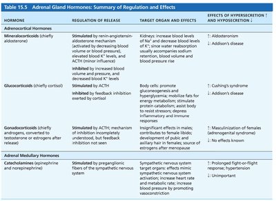 Summary table of adrenal gland hormones