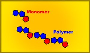 Diagram showing monomers and polymers
