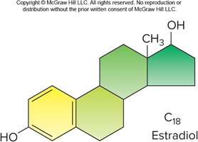 Structure of estradiol