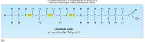 Structure of linolenic acid, an unsaturated fatty acid