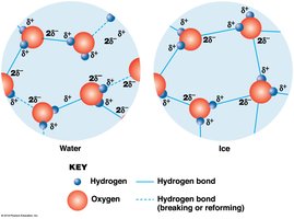 Hydrogen bonding in water and ice