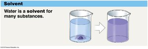 Water as a solvent