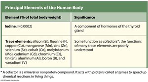 Principal elements of the human body