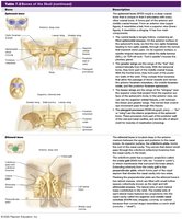 Table of cranial bones: sphenoid, ethmoid