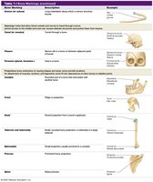 Table of bone projections: condyle, epicondyle, process, line