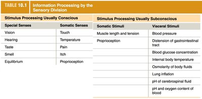 General properties of sensory systems diagram