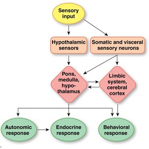 Autonomic integration flowchart