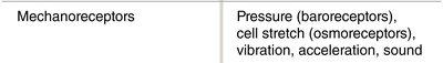 Table of mechanoreceptors