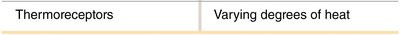 Table of thermoreceptors