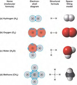 Polar covalent bonding in water