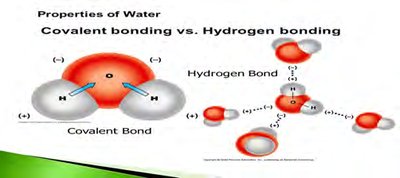 Formation of ionic bonds between sodium and chlorine