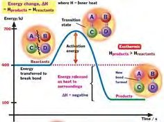 Hydrogen bonding between water molecules