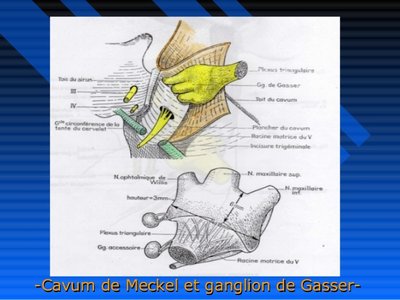 Meckel's cave and Gasserian ganglion