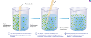 Diffusion process