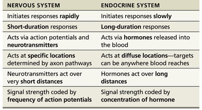 Comparison of Nervous and Endocrine Systems