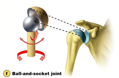 Ball-and-socket joint mechanism
