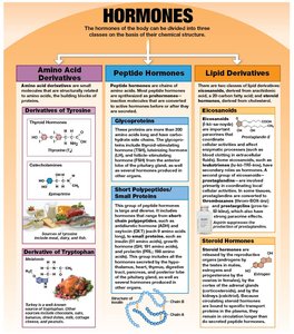 Structural classification of hormones