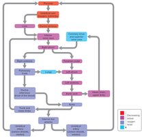 Schematic diagram of fetal circulation